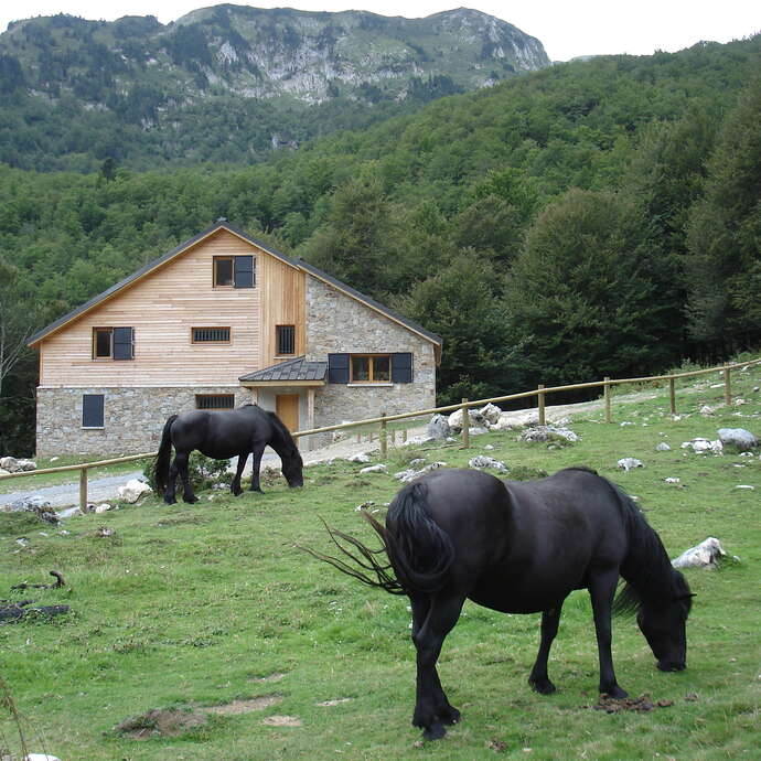 Gîte forestier de Terre d'Avenir