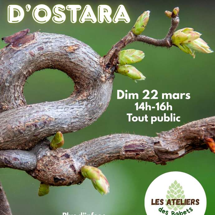 Les Ateliers des Babets : balade d'Ostara