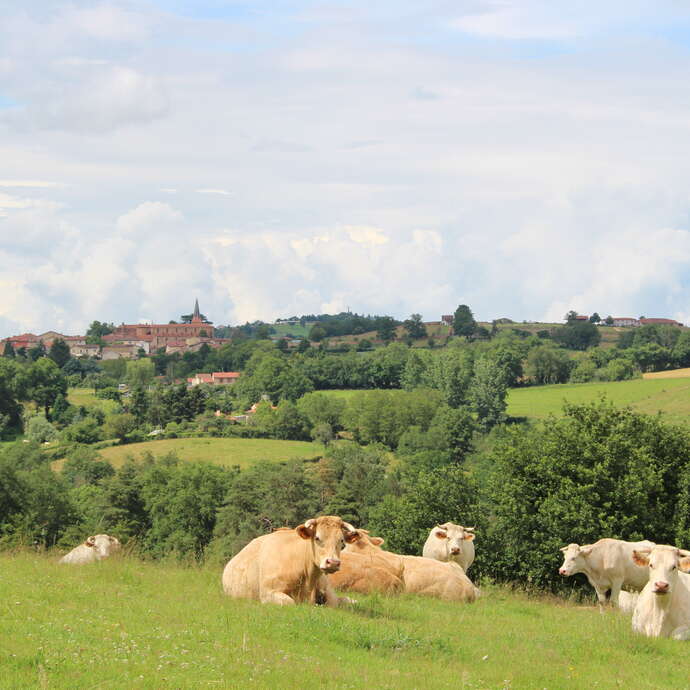 Sentier Le Puy Bayard