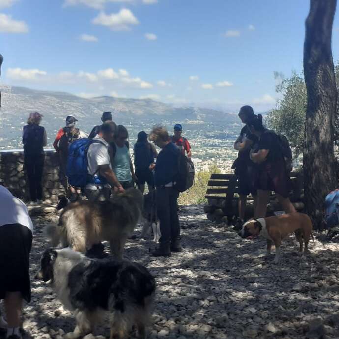 Randonnée avec son chien - Journée