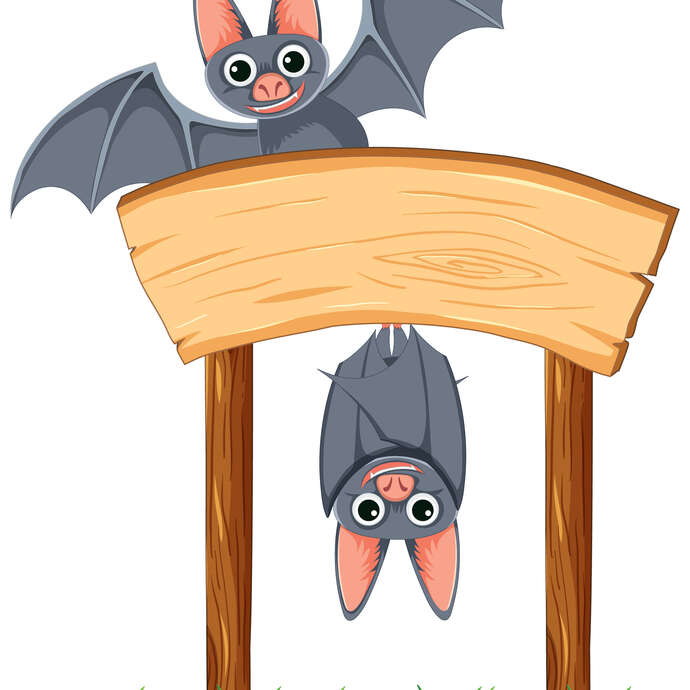 Chantier participatif chauve-souris