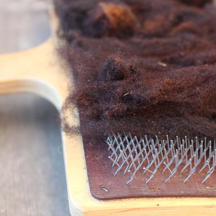 Sur les Chemins de la Laine - Fibres de laine