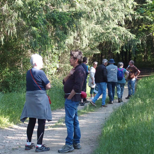Sentier botanique