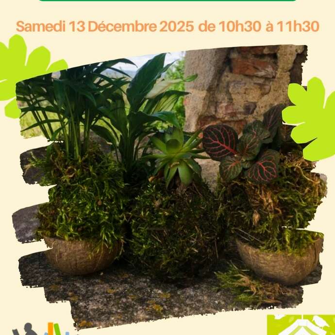 Atelier Kokédama à la Bibliothèque de Massieux