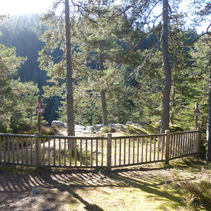 Sentier d'interprétation - Le Géant de Taillard - boucles de 7.7 ou 10 km