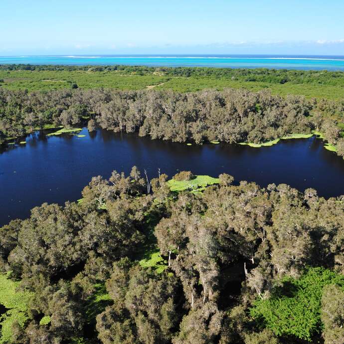 Fournier Marsh
