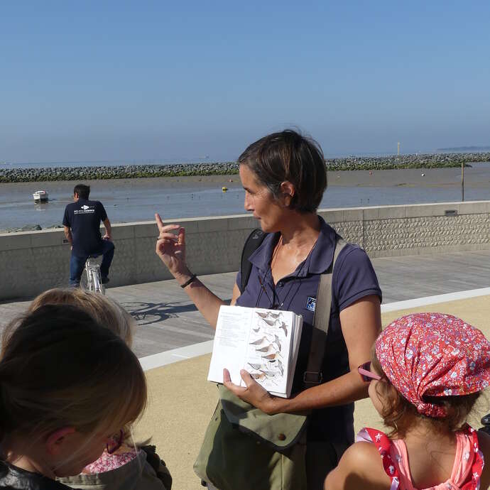 Safari junior : Les apprentis.es ornithologues