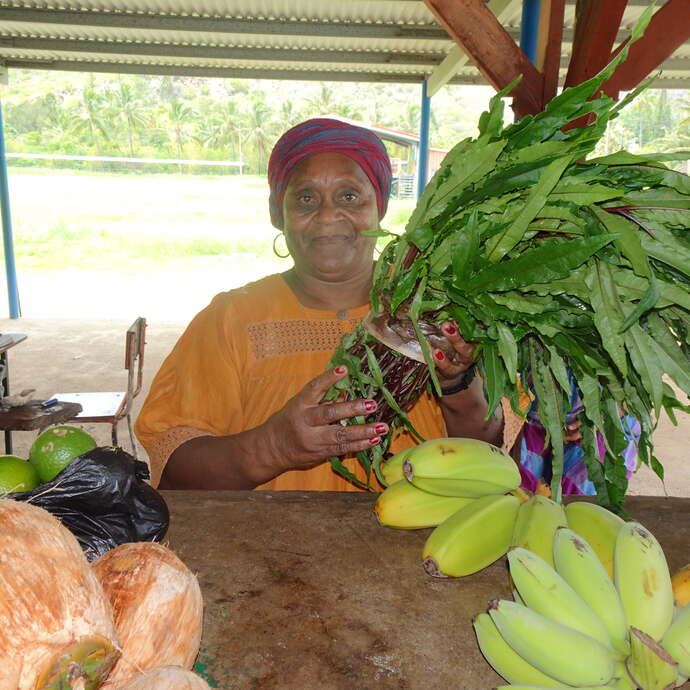 Marché de Thio Mission