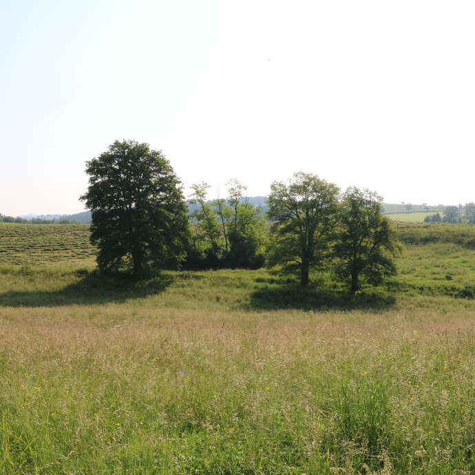 Escapade entre collines et vallons - PR 21