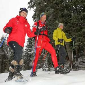 Randonnée en raquettes