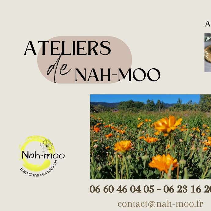 L'échoppe de Nah-Moo