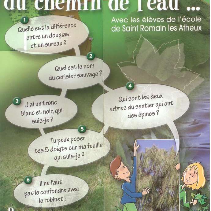 Sentier découverte - "Les arbres du chemin de l'eau" - Aller retour de 1 km