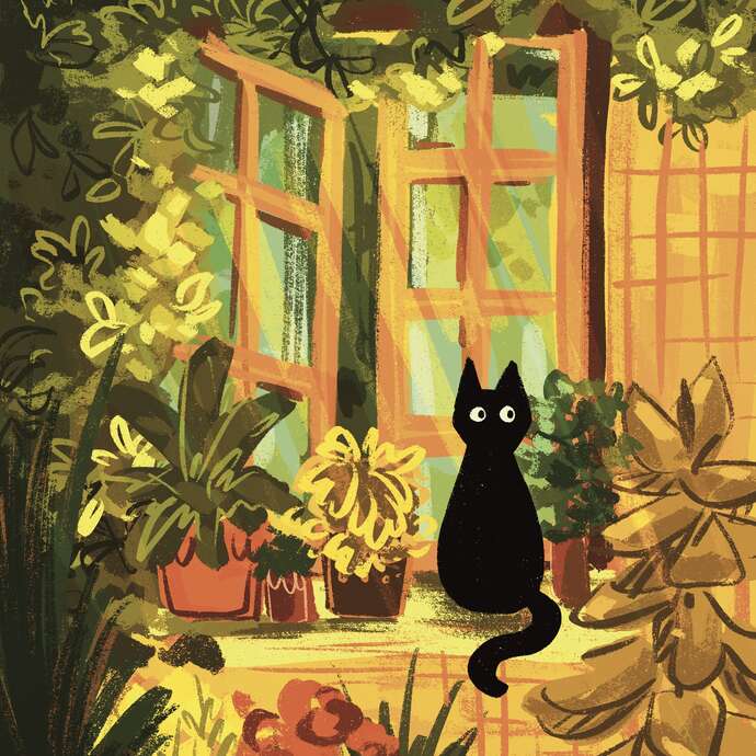 Là où rêvent les couleurs