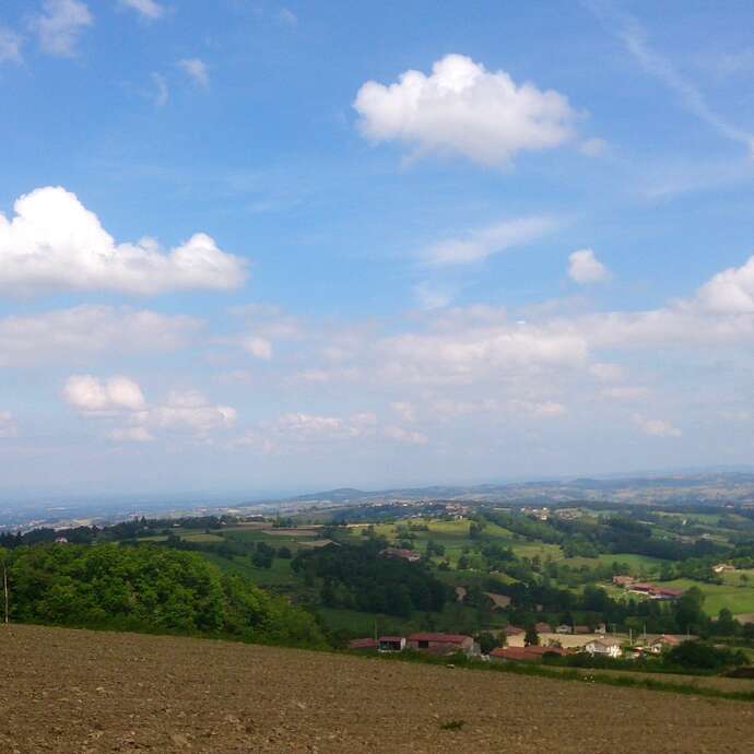 Circuit du Grand Bois