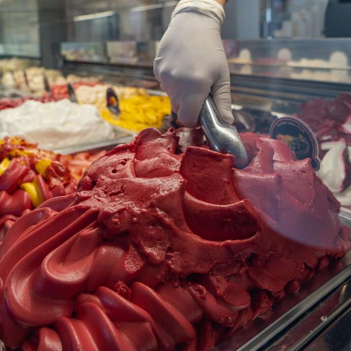 Jf Duport maître artisan glacier