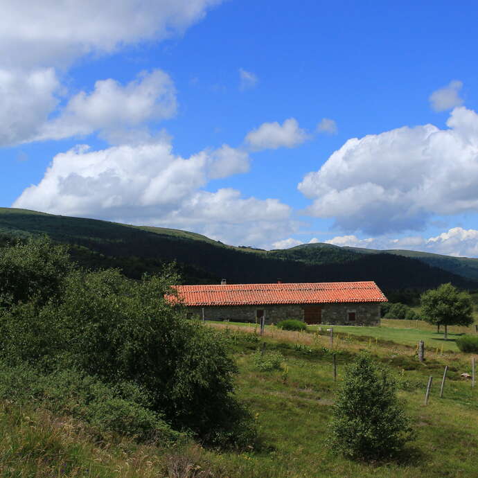 Au pays des jasseries - 56 itinéraires VTT Loire