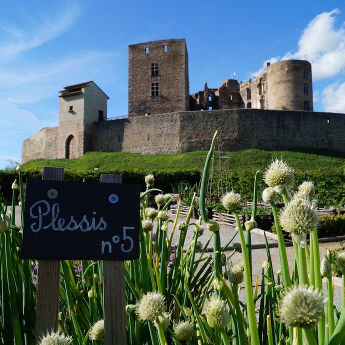 Château de Montrond-les-Bains