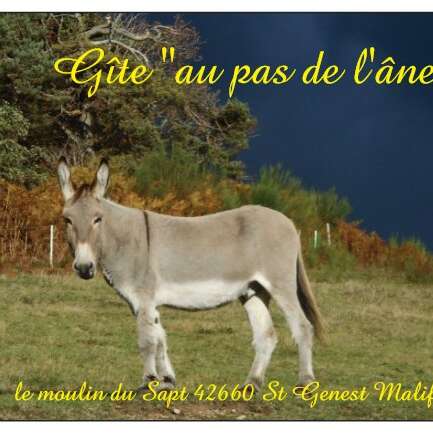 Gîte Au pas de l'âne