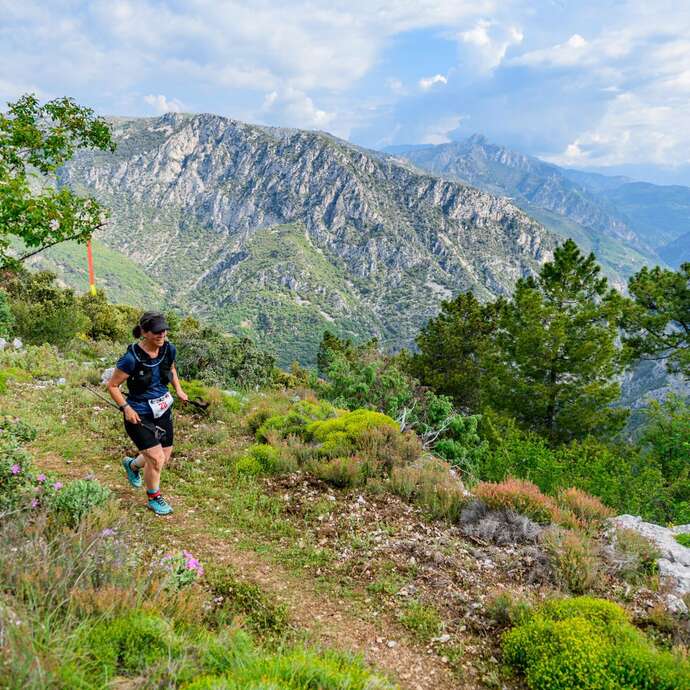 Trail de la Vigie