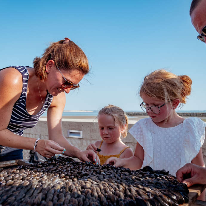 Fête des Boucholeurs, fête des huîtres et des moules