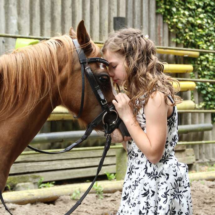 11ème chasse aux oeufs à poney