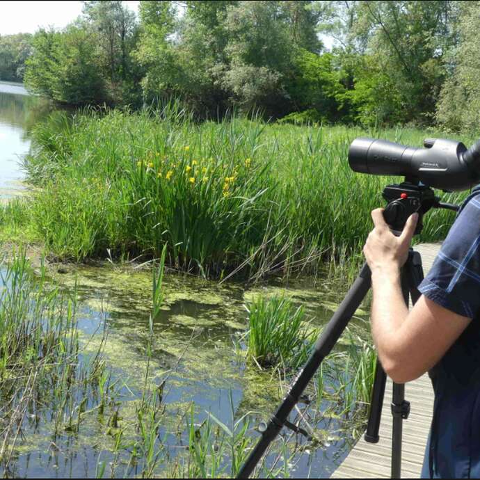 Gravière aux Oiseaux - Week-end observation