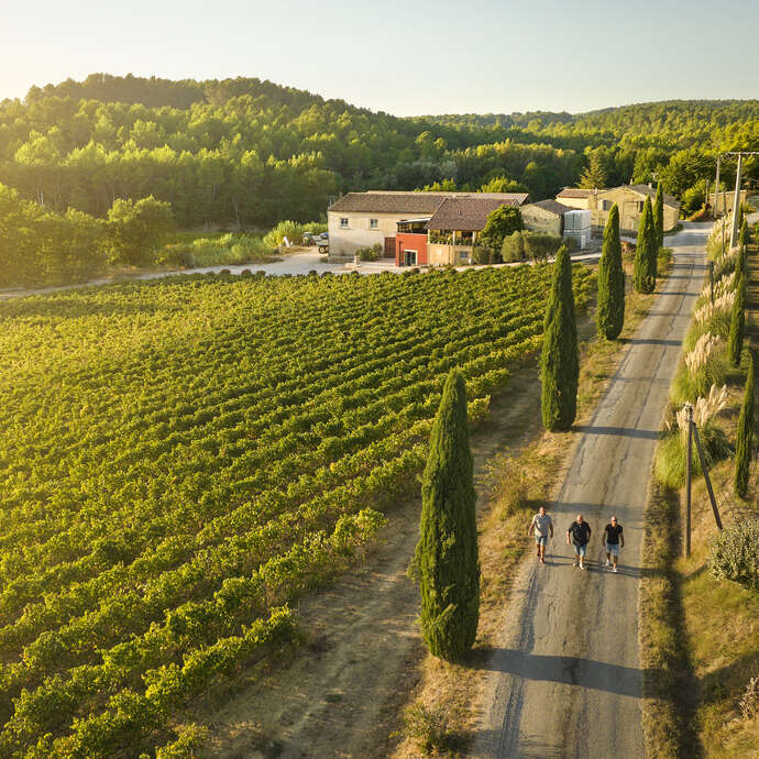 Domaine du Coulet Rouge