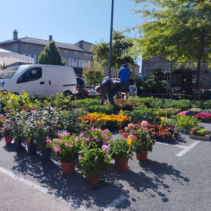 Marché des fleurs et plantes