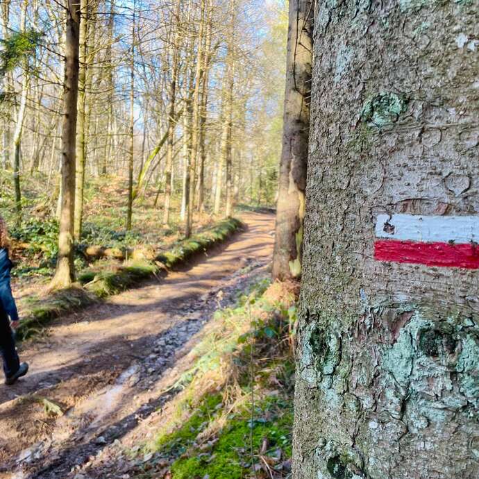 GR®7 Ligne de partage des eaux : Col Pin Bouchain / Tour Matagrin