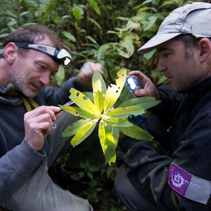 Projection-causerie : les suivis scientifiques du Parc