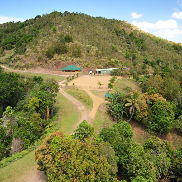 Great Ferns Park