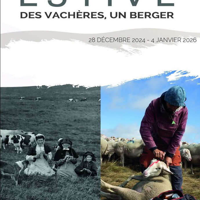 Estive. Des vachères, un berger, évolution des pratiques. - exposition