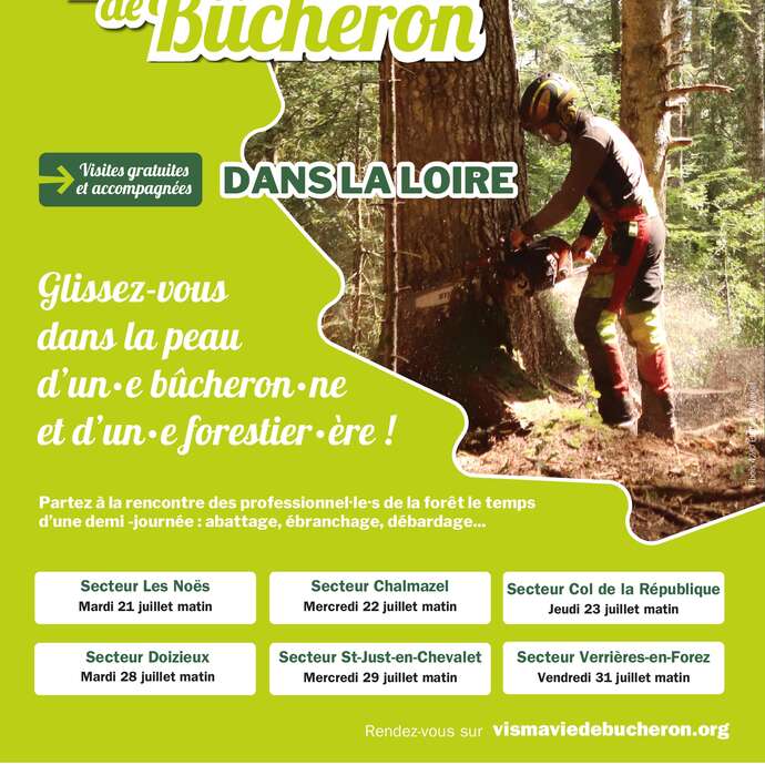 Vis ma Vie de Bûcheron
