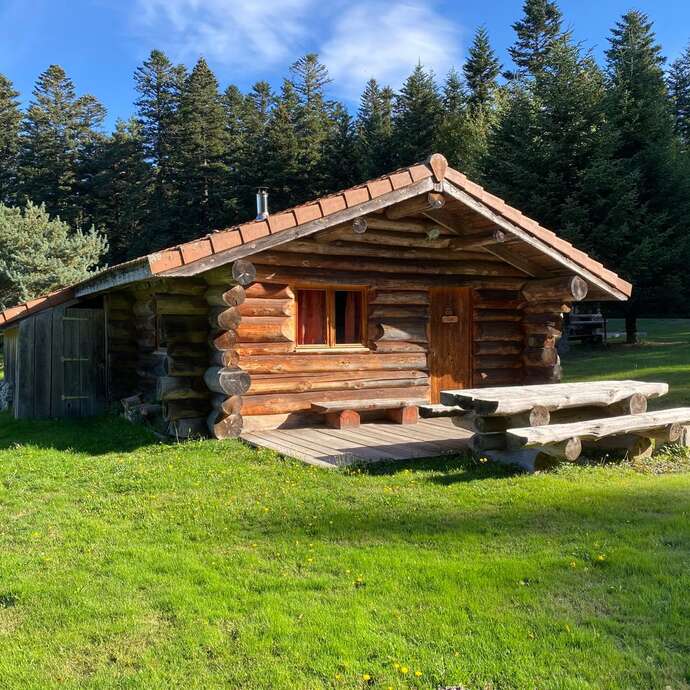 Fustes sous les étoiles