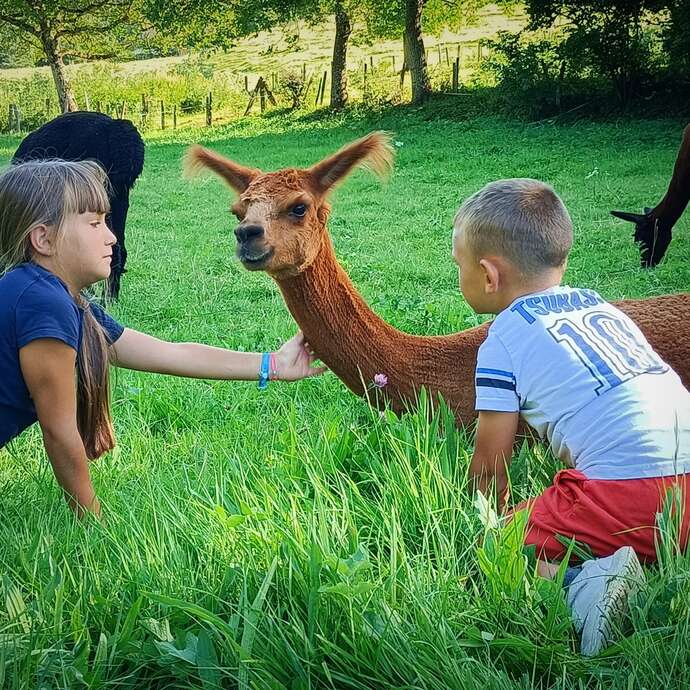 Les Montagnes de Jaya