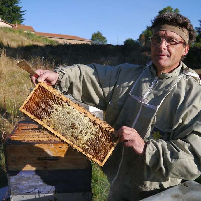 Miel du Roannais - Hervé Cuer