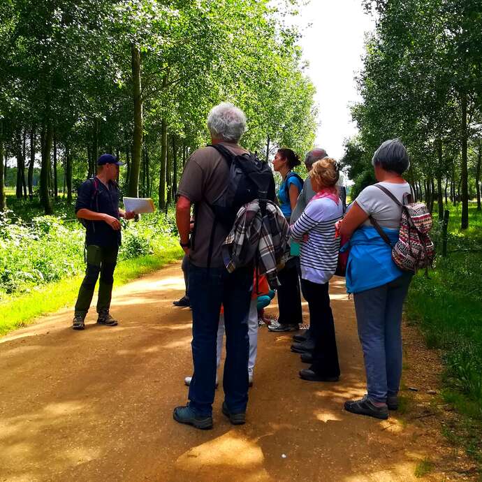 Stage 1/2 journée: Plantes sauvages comestibles