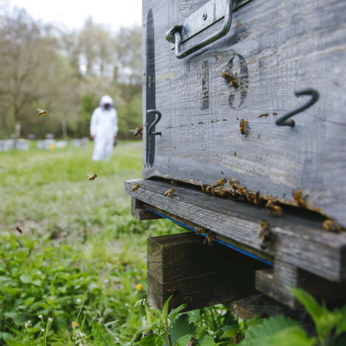 Visites  guidées de la Miellerie des Gorges de la Loire