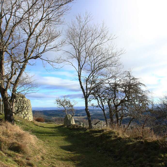 Sentier des archers au marais