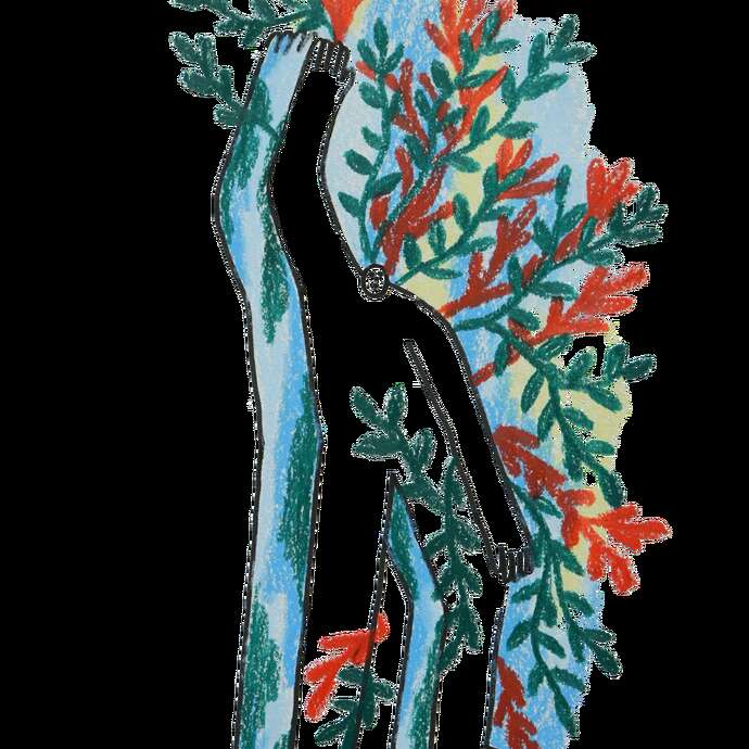 Festival Alors on danse  ! 1ère édition - #Corps