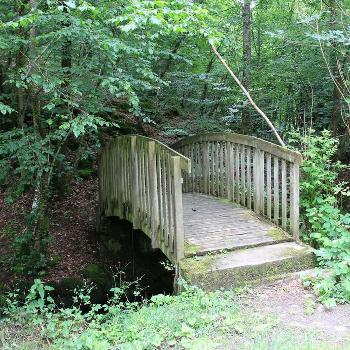 Sentier des bords de Coise
