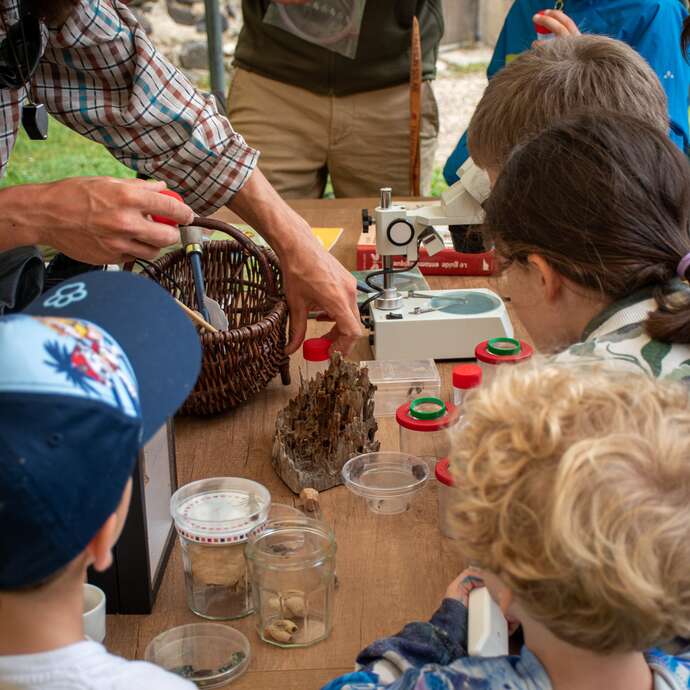 Techniques buissonnières - atelier - Festival Futurs possibles