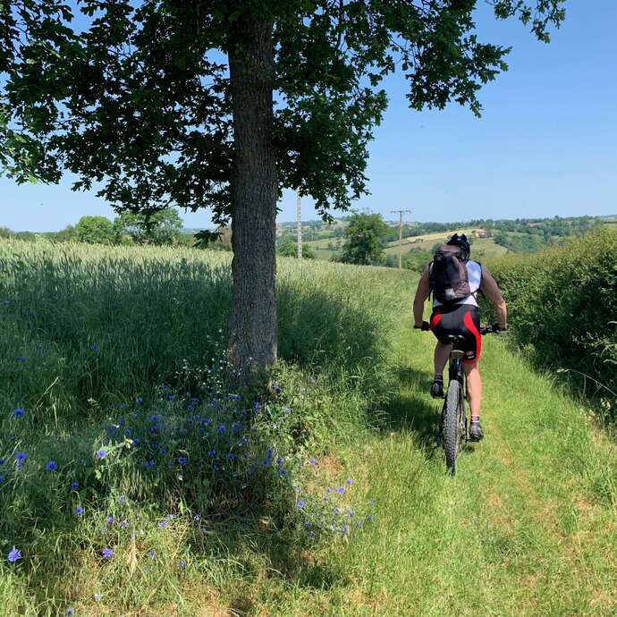 N°25 Le bourg fleuri