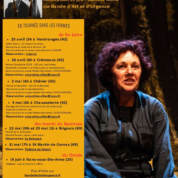 Merveille" de Catherine Monin