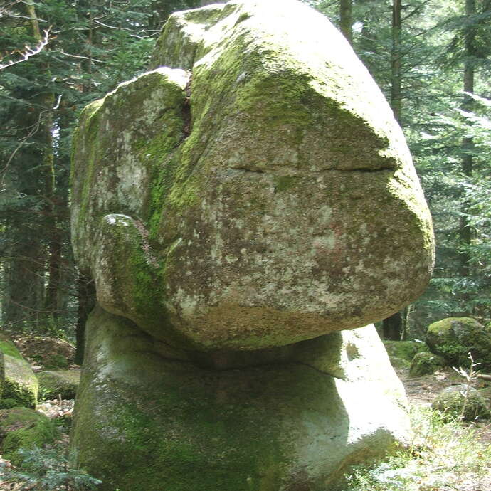 La pierre branlante et les rochers à cupules