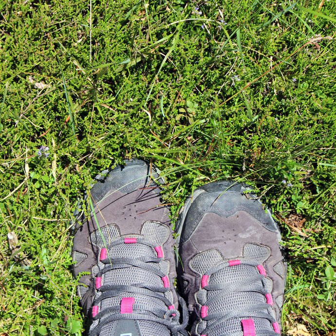 6ème marche de la JAV