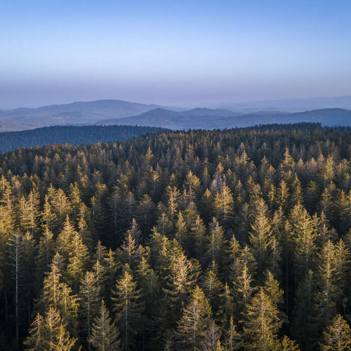 Massif des bois noirs