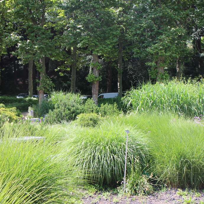 Jardin du Musée d'Art et d'Industrie