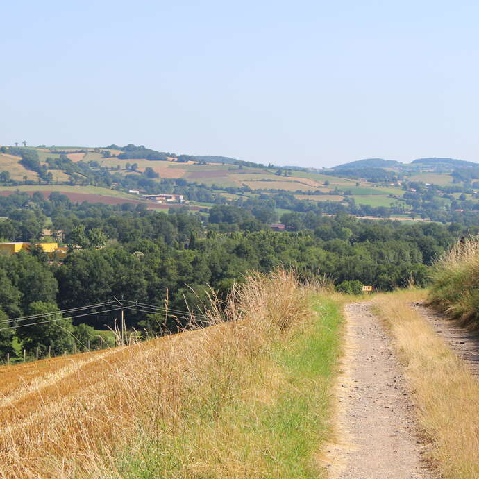 Sentier entre Loire et Rhône