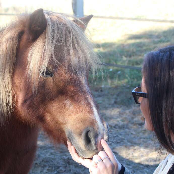 Balades à cheval - Le Nouvel Etrier Panissiérois